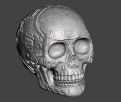 Skull, Human, Aztec Or Mayan Skull, Head, Art 3D Printer Model