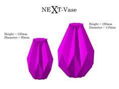 NEXT Vase 3D Printer Model