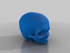 (3D Slash) Wfu_cbi_skull-hollow_jawless 3D Printer Model