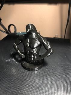 Pigeon Man 3D Printer Model