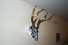 Deer Skull Wall Mount 3D Printer Model