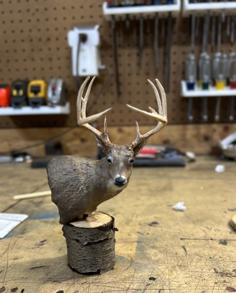 Whitetail Deer Mount 3D Printer Model