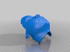 Angel’s Face 3D Printer Model