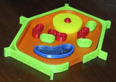 Plant Cell (cellula Vegetale) 3D Printer Model