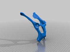 Deer Pelvis 3D Printer Model