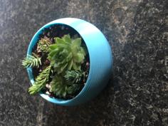 Spherical Succulent Planter 3D Printer Model