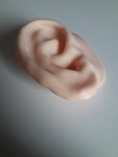 Human Ear 3D Printer Model