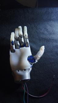 Silicone Mold For Prosthetic Hand 3D Printer Model