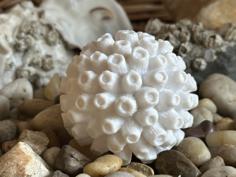 Barnacle Ball 3D Printer Model