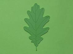 Oak Tree Leaf 3D Printer Model