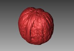 Walnut Macro 3D Scan 3D Printer Model