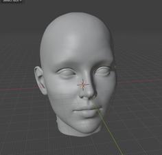 Female Head – Solid And Leveled 3D Printer Model