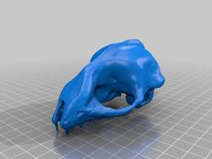 Bat Skull 3D Printer Model