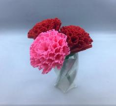 Carnation 3D Printer Model