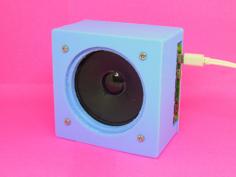 Raspberry Pi DIY Speakers 3D Printer Model