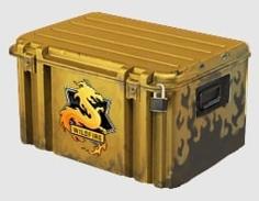 Cs GO Case 3D Printer Model