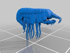 Macro “BUG” Models 3D Printer Model