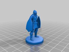 Elite Knight With Double Shield From Dark Souls 3D Printer Model