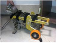 Wheelchair For Cat 3D Printer Model