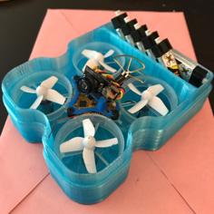 Improvised TinyWhoop Case For Modified MulletMod 3D Printer Model