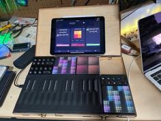 Laser Cut Roli Blocks Case