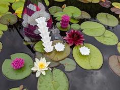 Water Lilly Pond Filter Media 3D Printer Model