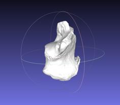 High Resolution Human Calcaneus (Heel Bone) Scan 3D Printer Model