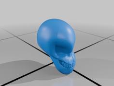 Skull 3D Printer Model