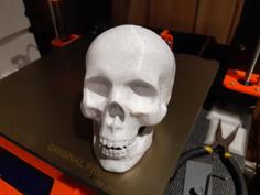 Hollow Skull Container 3D Printer Model