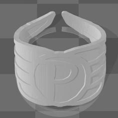 Flying P Racing Ring 3D Printer Model