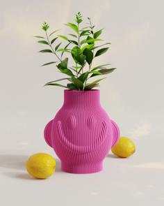 Lemonchik Vase 3D Printer Model