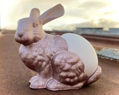 The Stanford Easter Bunny 3D Printer Model