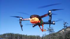 DJI MAVIC PUMPKIN HEAD 3D Printer Model