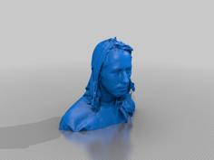 Thomas D’Otreppe 3D Printer Model