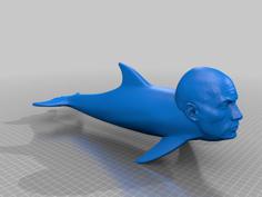 Rock-phin 3D Printer Model