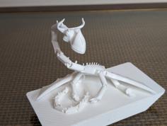 Slinkwings (fixed And Articulated) From Rescue Riders (HTTYD) 3D Printer Model