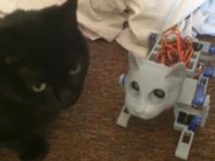 Cat Head For Ez 3D Printed OpenCat By Manic-3d-print 3D Printer Model