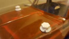 Traxxas Body Mounting Nuts 3D Printer Model