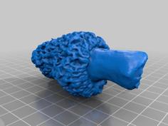 Morel Mushroom 3 3D Printer Model