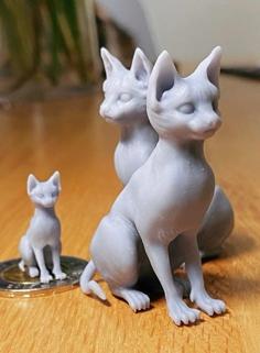 Hairless Cat 3D Printer Model