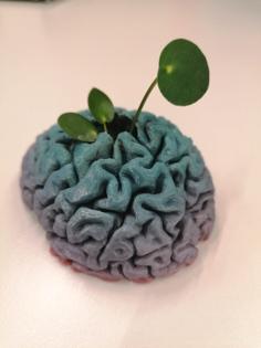 Cute Little Brain Planter 3D Printer Model