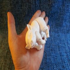 Lucky Pig 3D Printer Model