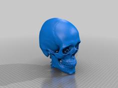 Anonymous CT Skull 3 3D Printer Model