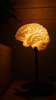 Brain Lamp (IKEA Bulb And Stand) 3D Printer Model