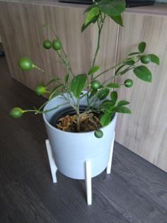 Plant Stand 3D Printer Model