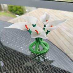 Cala Lily 3D Printer Model