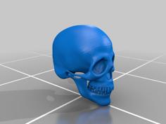 Skull 3D Printer Model