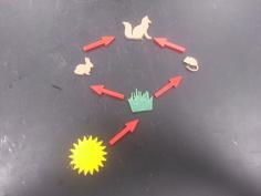 Food Webs 3D Printer Model