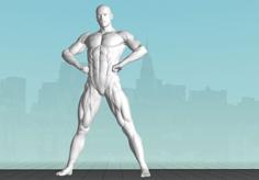 Male Bodybuilder 1 Full Body 3D Printer Model