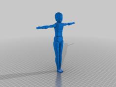 (3D Slash) Posable_Model_by_KingRahl 3D Printer Model